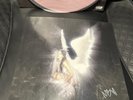 Young Forever by Nessa Barrett - SIGNED INSERT RARE