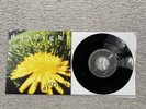 Daylight Dispirit 7” Vinyl Record Superheaven Six Feet Under 2011 Black /555 Emo