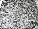 Cream - Wheels Of Fire -Live At The Fillmore Polydor  - vinyl is mint cover vg