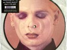 GARY NUMAN -Are Friends Electric/Down In The Park- Rare 2008 7” Picture Disc