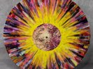 SUICIDE SILENCE EP Wax Vessel Vinyl LP /50 Sigstorted Thought Infinity