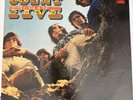 Count Five Psychotic Reaction 1966 Double Shot LP  EX/VG+