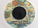 THE STRANGERS STEP OUT OF MY DREAM SALSOUL  PROMO 7