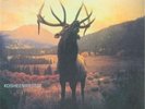 Kosheen – Resist LTD EDITION YELLOW VINYL LP MOVLP2575