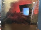 Wall of Voodoo Call of the West Vinyl Original Pressing 1982 IRS LP