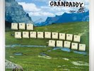 Grandaddy   The Sophtware Slump   Vinyl LP Indie Signed Autographed Jason Lytle