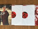 Fall Out Boy Double LP Red 10 In Vinyl Save Rock And Roll, 2013