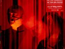 Peter Gabriel - In The Big Room (Vinyl 2LP - 2026 - US - Original)