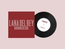 Lana Del Rey - Burning Desire (7