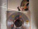 beabadoobee – Fake It Flowers Vinyl Record NEW / FLOWER FILLED Bad World / Blood
