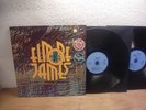 Elmore James – To Know A Man orig Blue Horizon DLP 1970, Country Blues, Chicago
