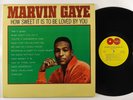 Marvin Gaye 