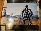 PINK FLOYD DELICATE SOUND OF THUNDER LP 2 x VINILE, Gatefold Italy 1988 VG+