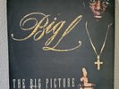 Big L The Big Picture  (1974 - 1999) Vinyl Record 2LP Original Press 2000 VG+