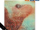 Pink Floyd Meddle Autographed Vinyl LP Progressive Rock Collectible