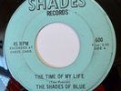 RARE: SHADES OF BLUE The Time Of My Life-Turn Turn Turn Shades Records 600 VG+