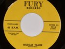 TARHEEL SLIM: Wildcat Tamer US Fury ’59 Rockabilly 45 HEAR