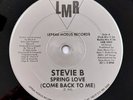Stevie B Spring Love (Come Back To Me) 12