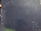 Metallica Self-Titled Black Album Vinyl 2 LP Elektra Records 1991 OG US