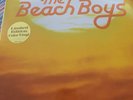 The Beach Boys Sounds of Summer Very Best Of double Lp colored vinyl record