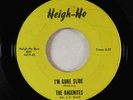 Garage 45 - The Dagenites - I'm Gone Slide - Heigh-Ho