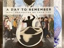 A Day to Remember What Separates Me From You Starburst Vinyl LP Newbury Record