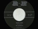 Surf Inst. 45 - Ramrods - Night Ride - R and H VG+
