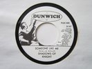 GARAGE PUNK Shadows Of Knight SOMEONE LIKE ME Three For Love DUNWICH Promo NM