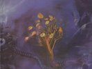 LP The Moody Blues On The Threshold Of A Dream GATEFOLD, INCL. BOOKLET Deram