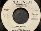 Willie & The Mighty Magnificents - Take My Love - All Platinum Promo
