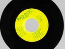 THE JAX ARE BACK by The Jax  45 rpm Vinyl- Xtremely Rare- 1973 Garage Punk  New