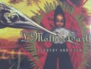 I Mother Earth - Scenery and Fish Vinyl Record 2LP Coloured