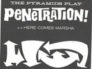 THE PYRAMIDS-BLACK VARIATION PICTURE SLEEVE+ 45-(PENETRATION)--PS--PIC-SLV