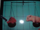 Toxoplasma - Ausverkauf   LP Vinyl   Matrix AG 58 - 1 - A2 SNB 1991 Rarität