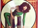 KATE BUSH - The Kick Inside - Rare 1st Press UK Picture Disc LP (Vinyl Record)