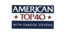 American Top 40 Top 100 1988 LPs/CDs Shadoe Stevens Debbie Gibson Tracy Chapman