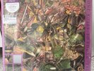 The Stone Roses 