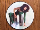 Kate Bush the Kick Inside LP 1978 First Edition EMI EMCP3223 Picturedisc,