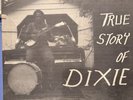 Abner Jay True Story of Dixie vinyl LP, Blues, Brandie Records, Underground, 12
