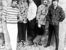 The Turtles - Happy together  12