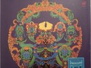 Grateful Dead Anthem Of The Sun Vinyl LP Warner 2020 Remastered 180g