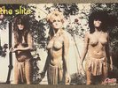 The Slits Typical Girls ORIG 1979 F/Out Poster 7