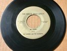 Pat Cordel & Elegants DOO WOP 45 My Tears / Darling Come Back MICHELE VG++ HEAR
