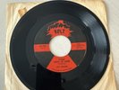 (RARE Volt) Otis Redding -These Arms Of Mine / Pain in my Heart-45 Jukebox