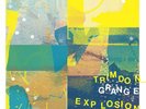 Trimdon Grange Explosion Dreams Buried Under the Sea (Vinyl) 12
