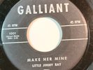 Little Jimmy Ray 