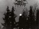 Darkthrone Panzerfaust (Vinyl) 12