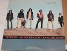 The Amboy Dukes Migration U.S. psych classic on Mainstream VG+