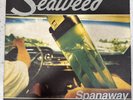 Seaweed Spanaway First US Pressing 1995 Black Vinyl LP Hollywood Records RARE