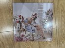 SABRINA CARPENTER Pink Champagne Liquid Man's Best Friend Vinyl LP | IN HAND